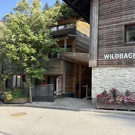 Wildbachhof 15 By Interhome Apartment Zell am See