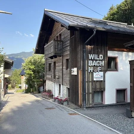 Wildbachhof 15 By Interhome * Zell am See